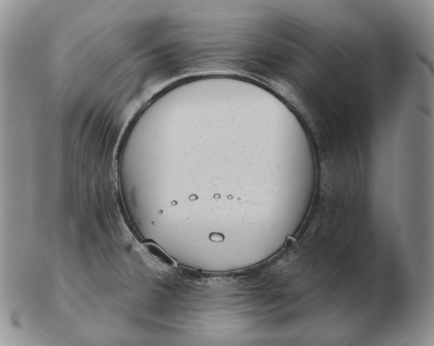 X0000103151380200809121806