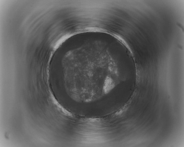 X0000103151381200809121806