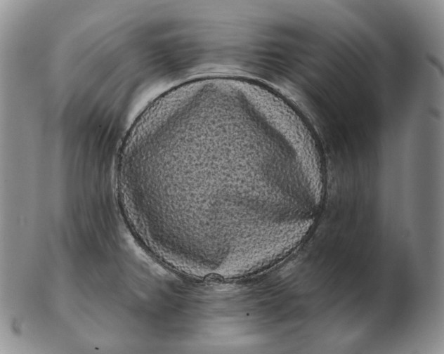 X0000103151382200809121806