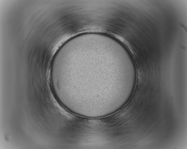 X0000103151383200809121806