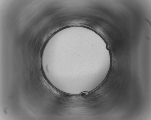 X0000103151384200809121806