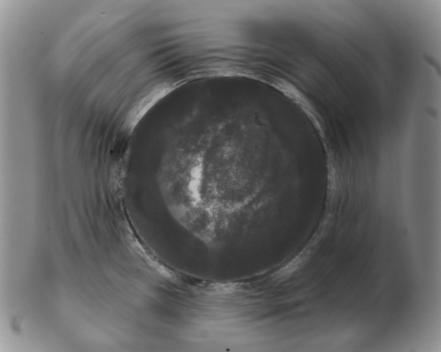 X0000103151385200809121806