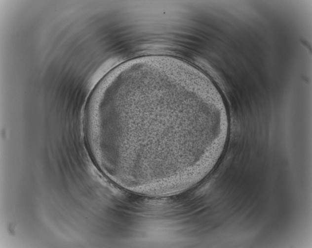 X0000103151386200809121806