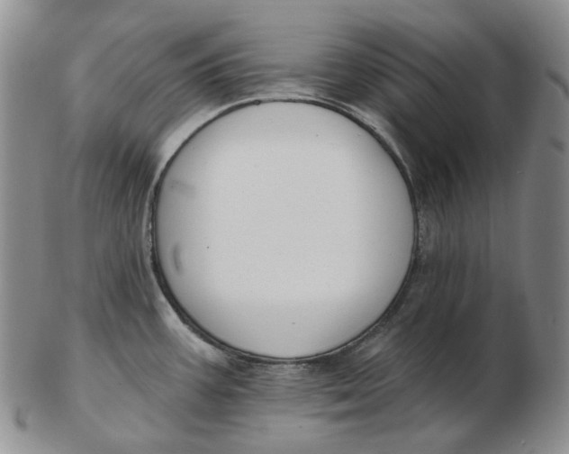 X0000103151387200809121806