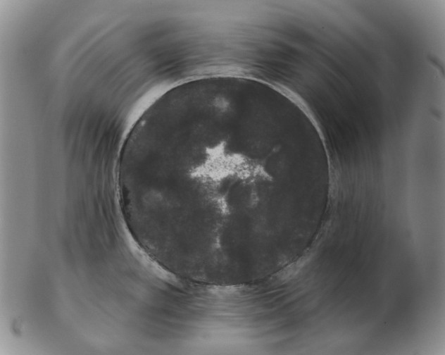 X0000103151389200809121806