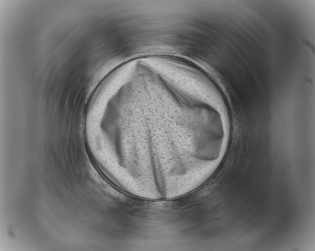 X0000103151390200809121806