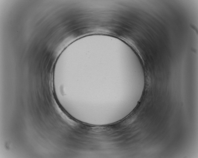 X0000103151391200809121806