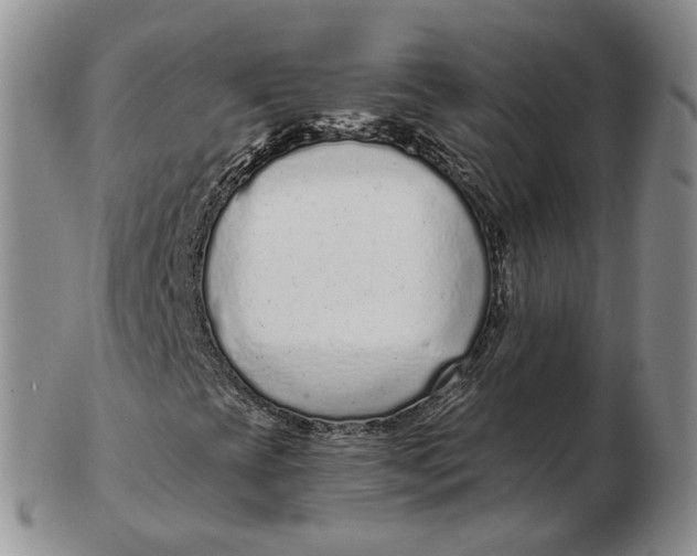 X0000103151393200809121806