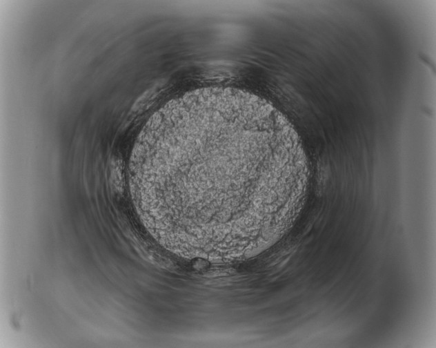 X0000103151394200809121806