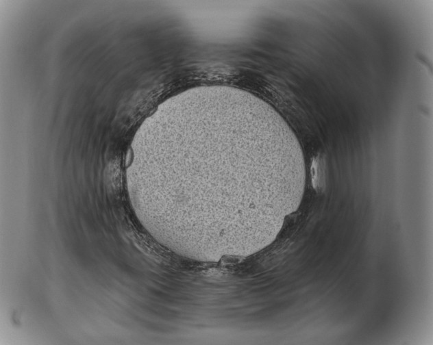 X0000103151395200809121806