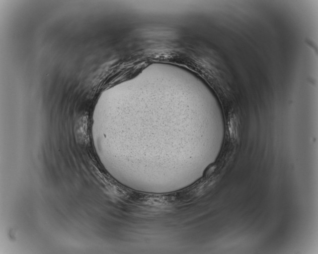 X0000103151396200809121806