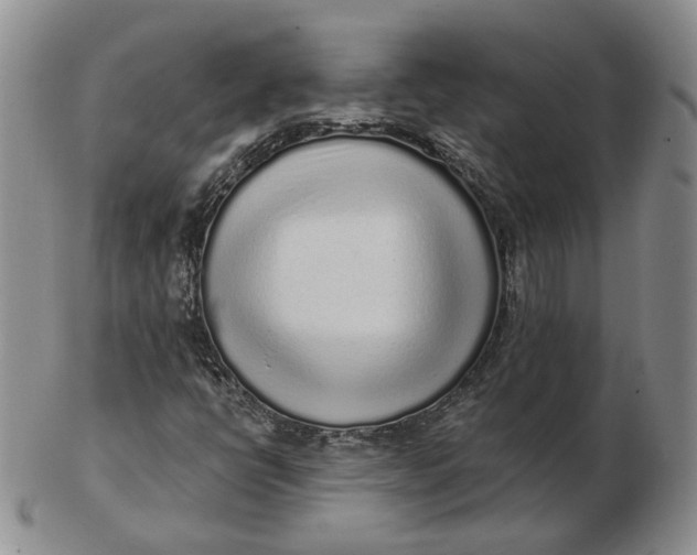 X0000103151398200809121806