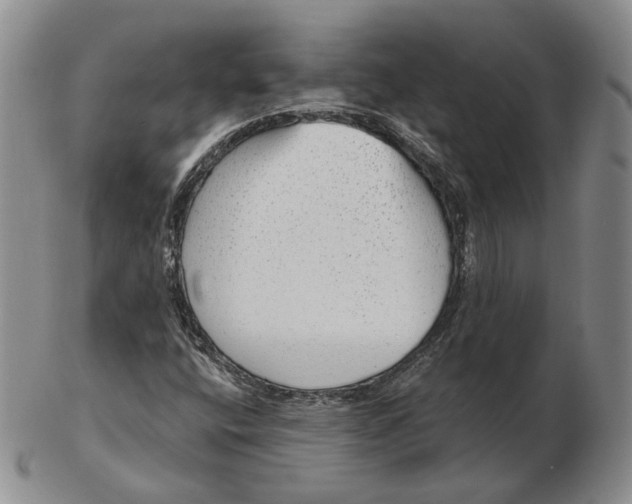 X0000103151400200809121806