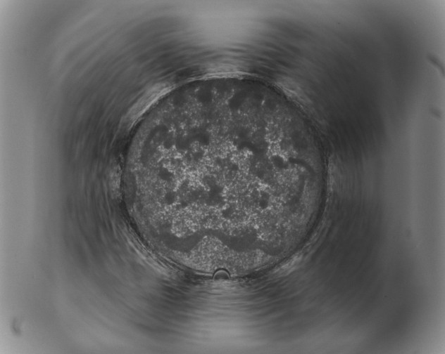 X0000103151401200809121806