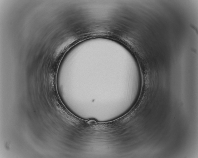 X0000103151402200809121806