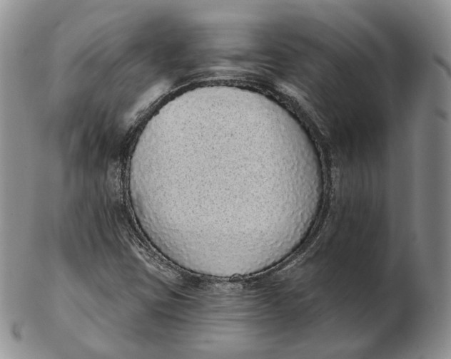 X0000103151403200809121806