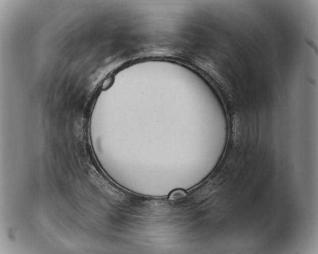 X0000103151404200809121806