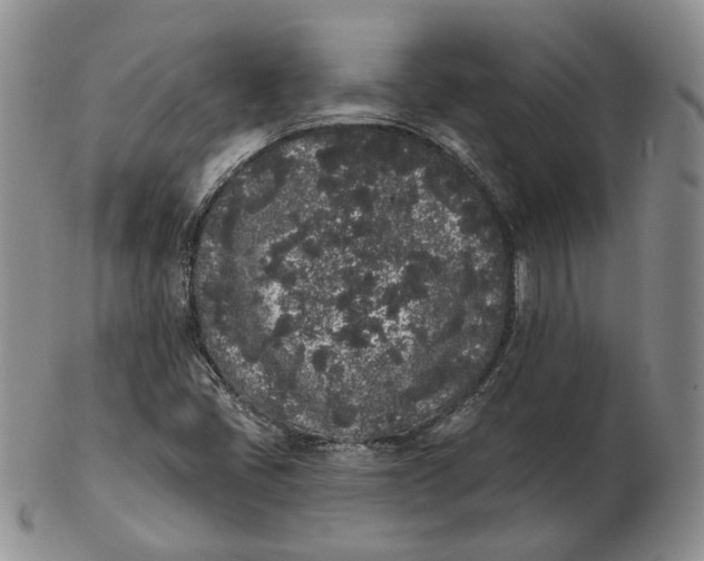 X0000103151405200809121806