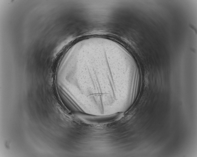 X0000103151406200809121806