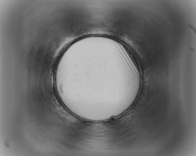 X0000103151408200809121806