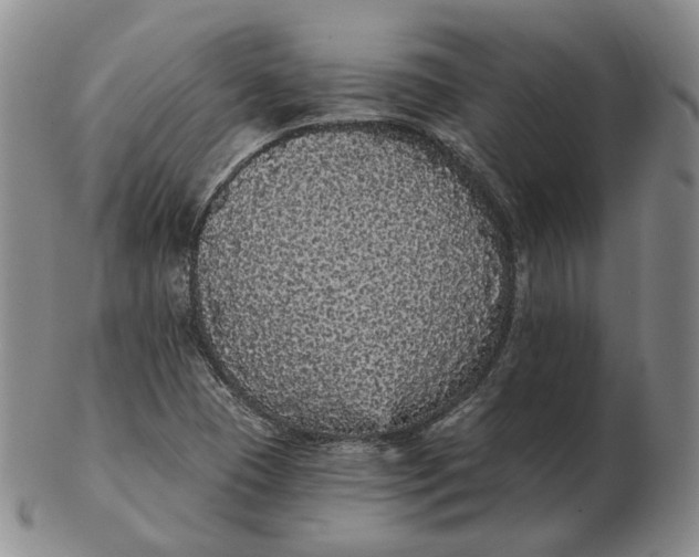 X0000103151409200809121806