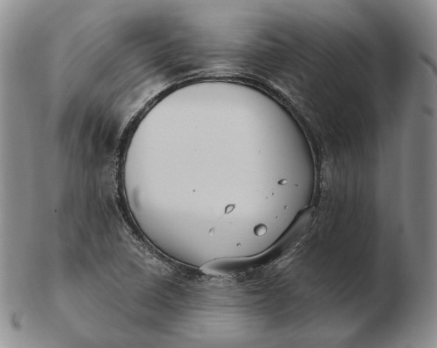 X0000103151410200809121806