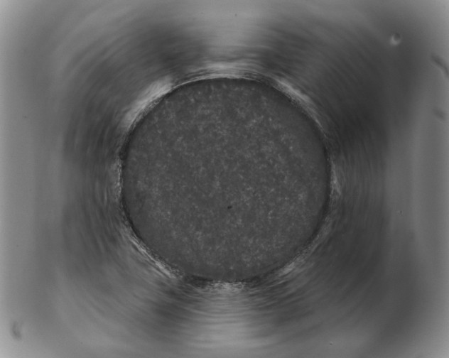 X0000103151411200809121806