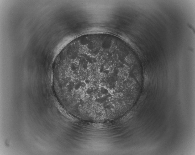 X0000103151413200809121806