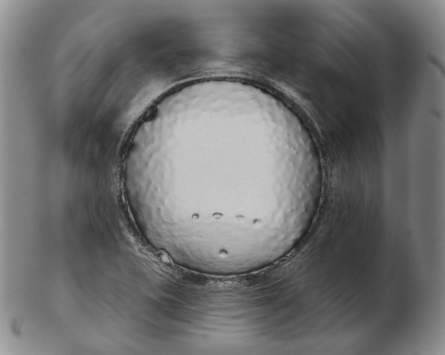 X0000103151415200809121806