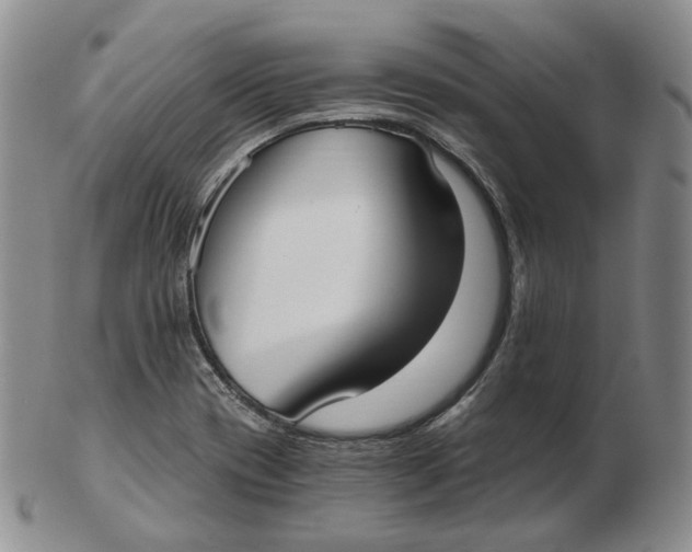 X0000103151417200809121806