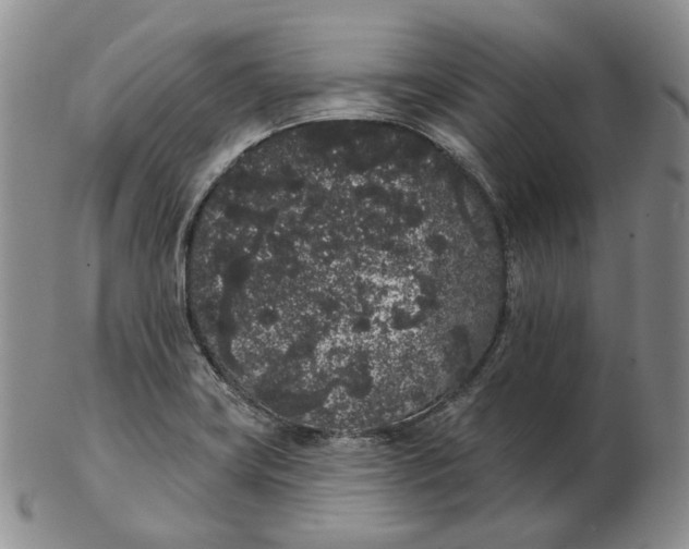 X0000103151419200809121806