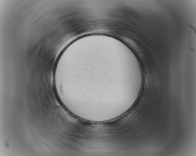 X0000103151420200809121806