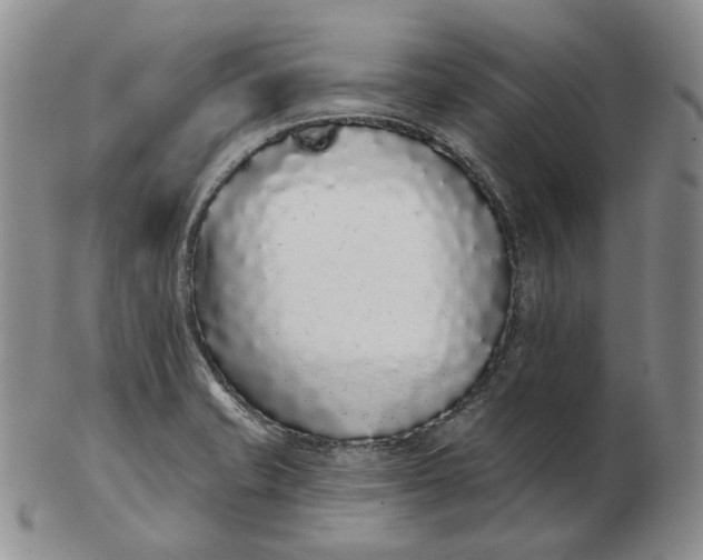 X0000103151421200809121806