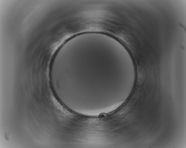 X0000103151422200809121806