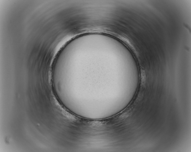 X0000103151424200809121806