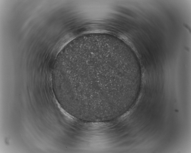 X0000103151425200809121806