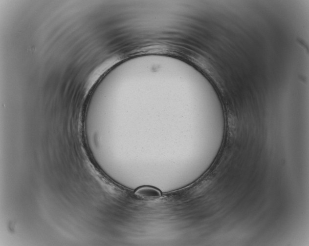 X0000103151426200809121806