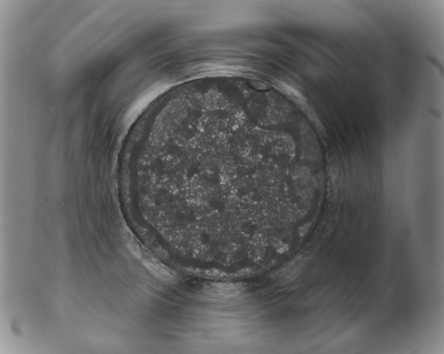 X0000103151427200809121806