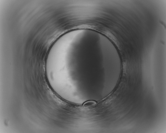 X0000103151428200809121806