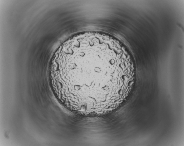 X0000103151429200809121806