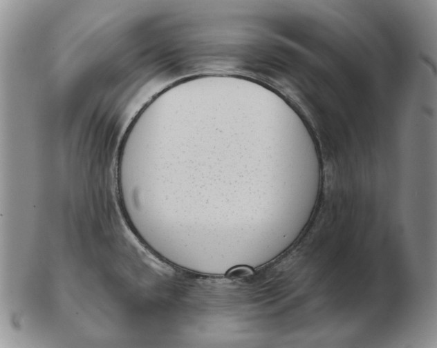 X0000103151432200809121806