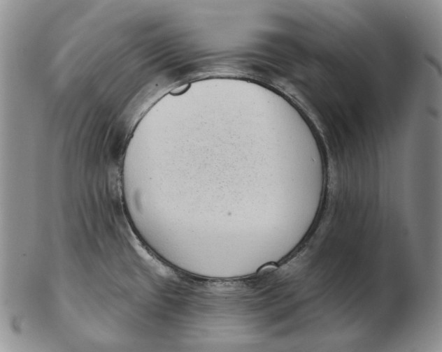 X0000103151433200809121806