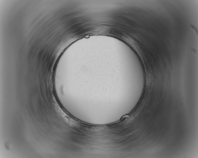 X0000103151434200809121806