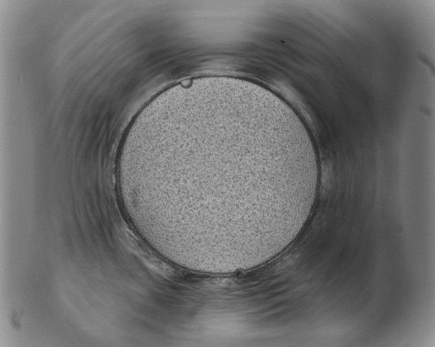 X0000103151435200809121806