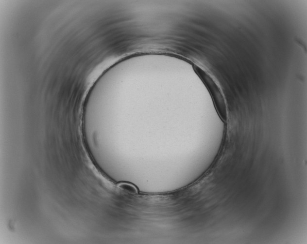 X0000103151437200809121806