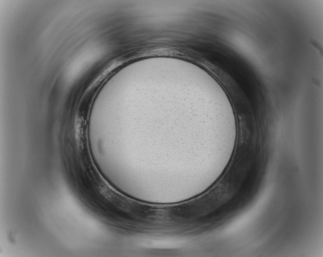 X0000103151438200809121806