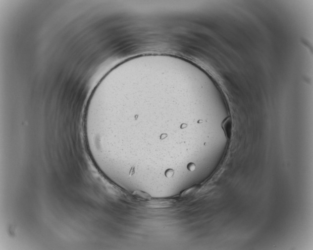 X0000103151440200809121806