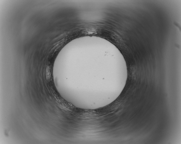 X0000103151442200809121806