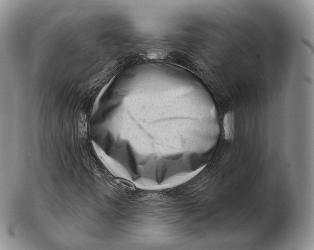 X0000103151443200809121806