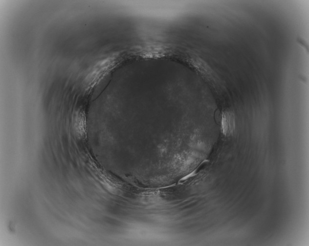 X0000103151444200809121806